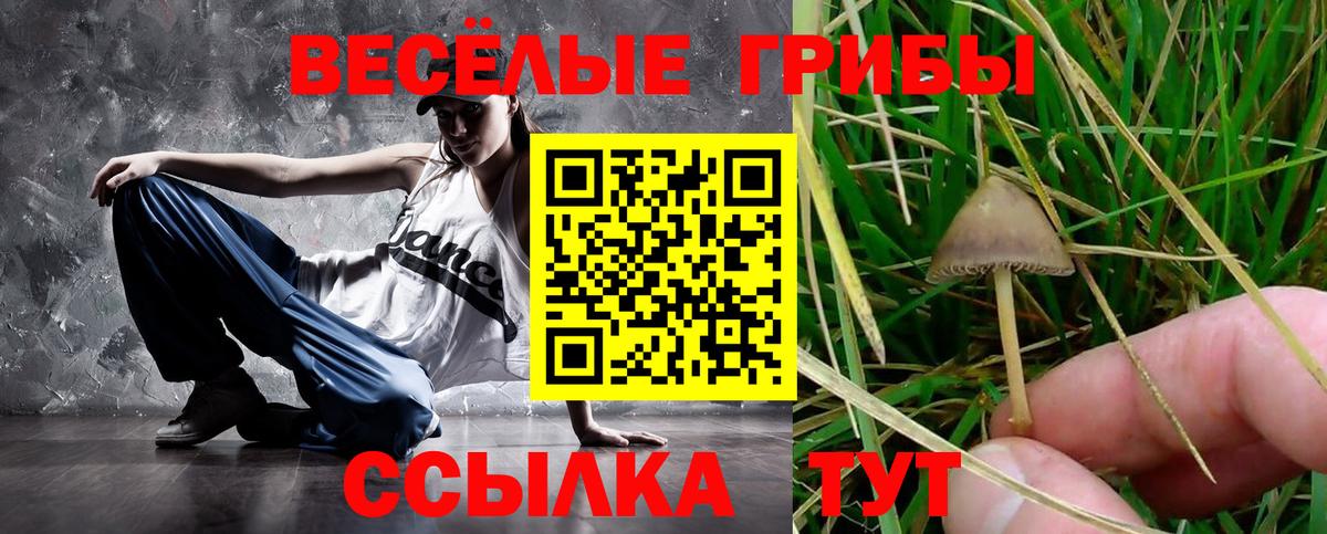 Псилоцибиновые грибы Magic Shrooms Великий Устюг