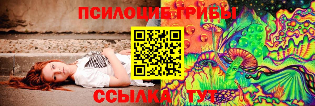 Великий Устюг  Галлюциногенные грибы прущие грибы  Вход с VPN  купить закладку  Галлюциногенные грибы Psilocybe 